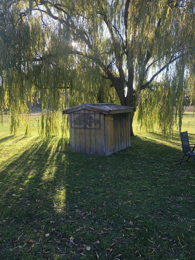 Creswick Motel 外观 照片